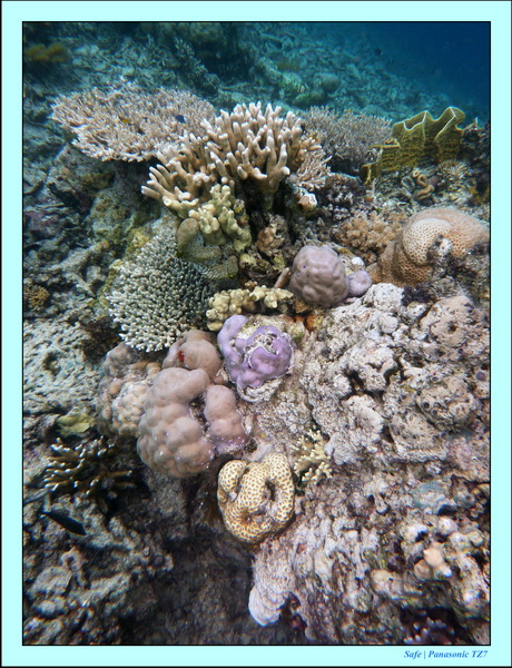 2009   07   Matakin 59